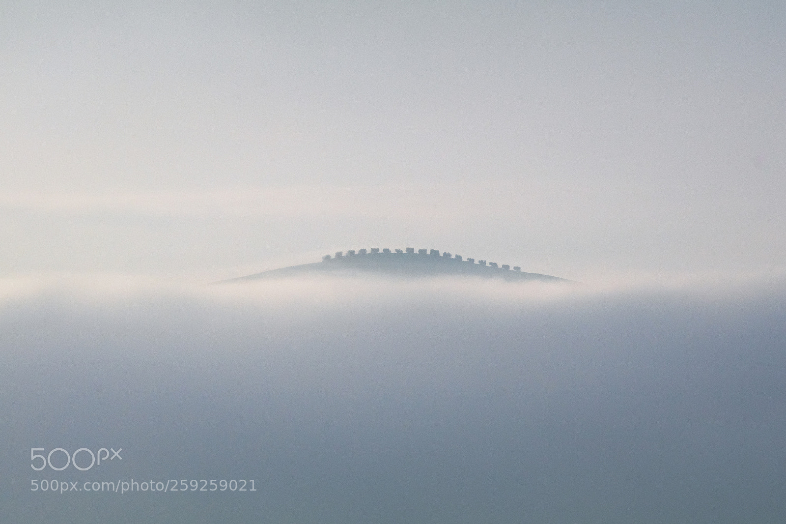 Canon EOS 80D sample photo. Fog photography