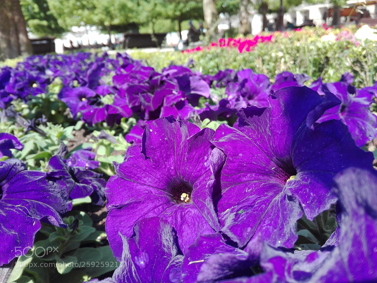 HUAWEI P8 Lite sample photo. Las tres dimensiones photography