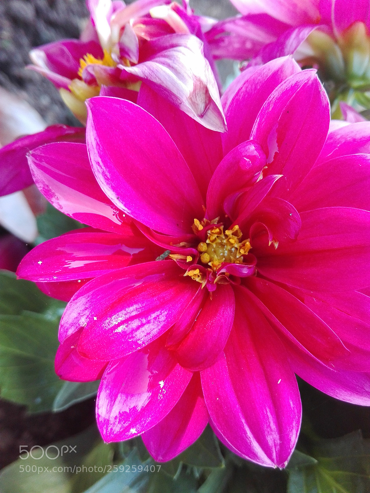 HUAWEI P8 Lite sample photo. Untitled photography