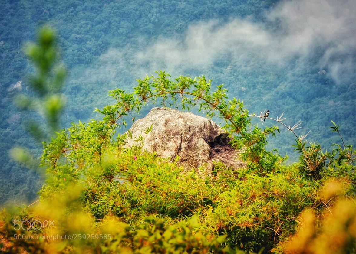 Nikon D800 sample photo. Beauty of nature  photography