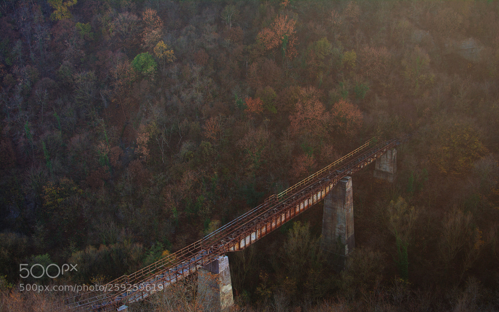 Nikon D7100 sample photo. The bridge photography