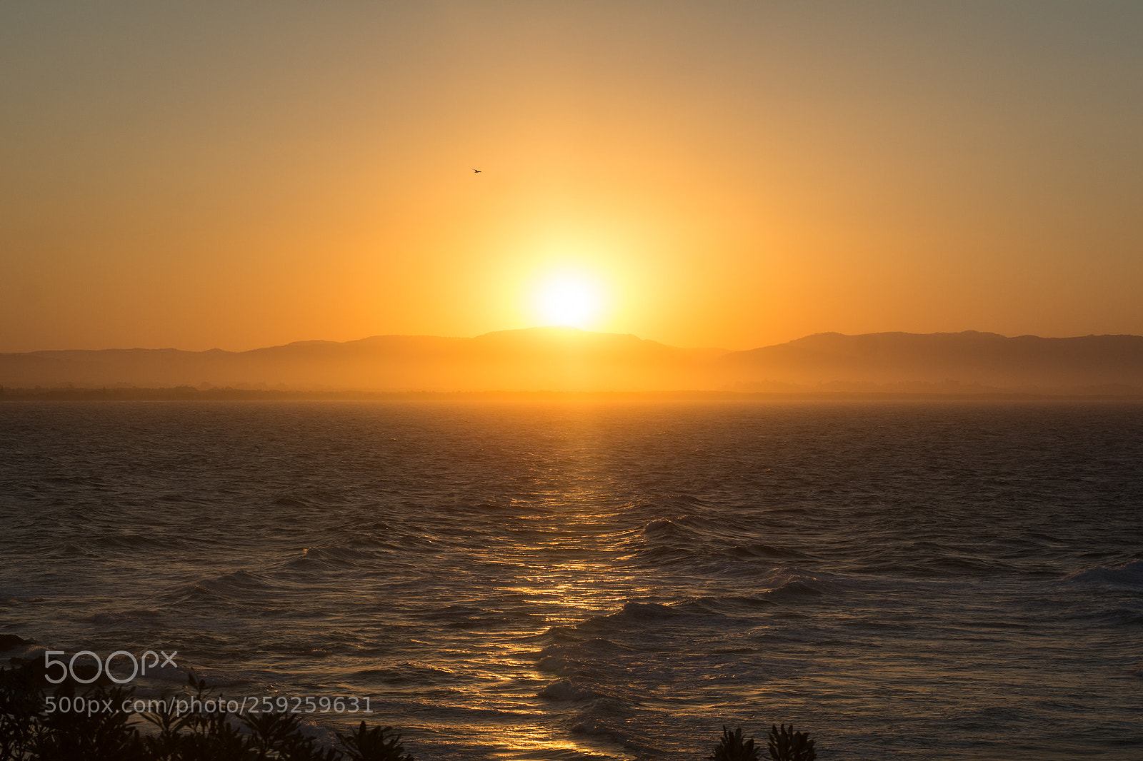 Nikon D7100 sample photo. Sunset at byron bay photography