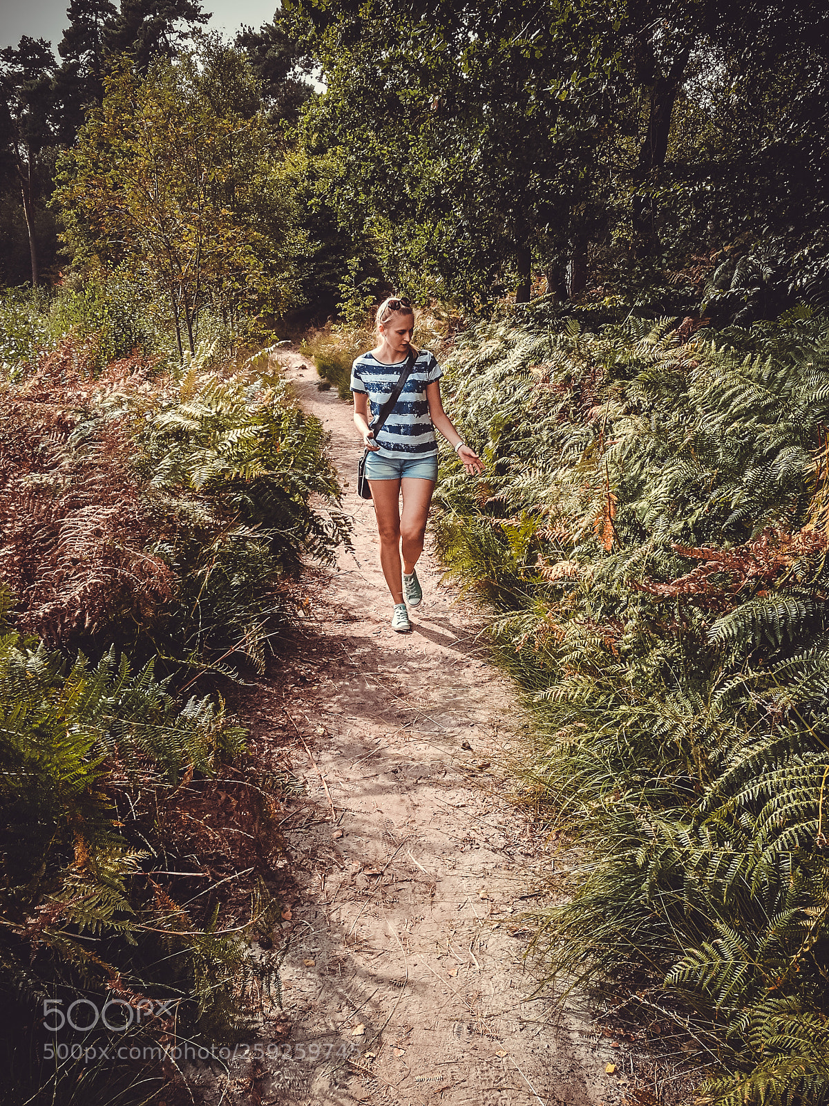 HUAWEI P9 sample photo. Sunday walk / huawei p9 photography