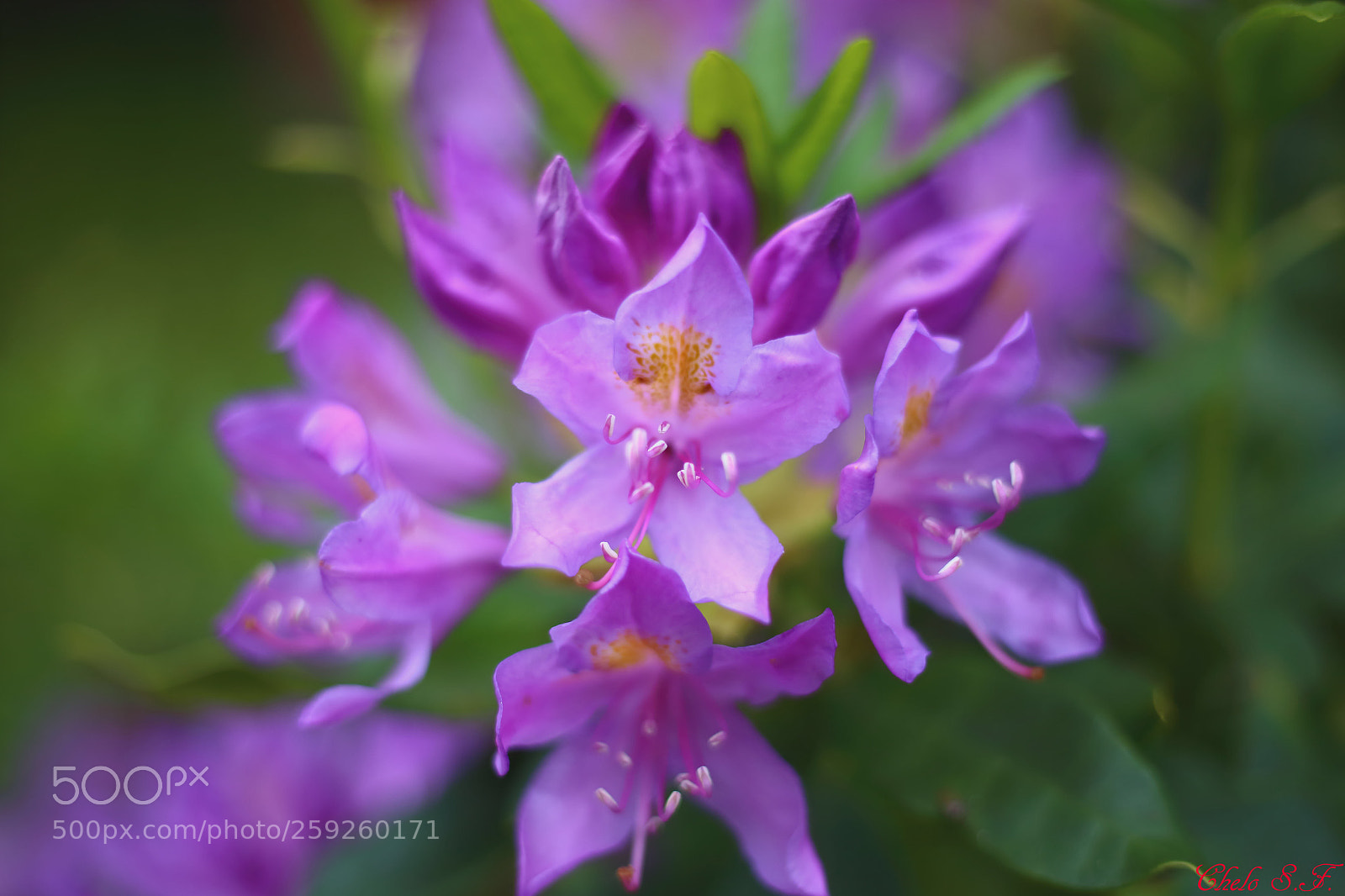 Canon EOS 6D sample photo. Untitled photography