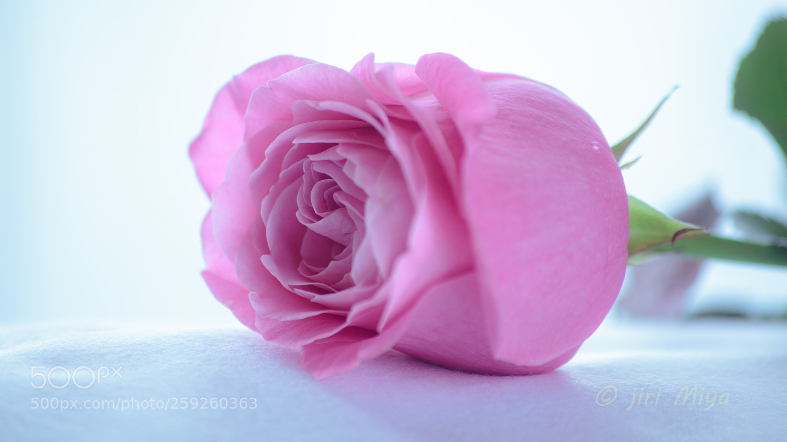 Canon EOS 5D Mark II sample photo. She doesn't need diamonds photography