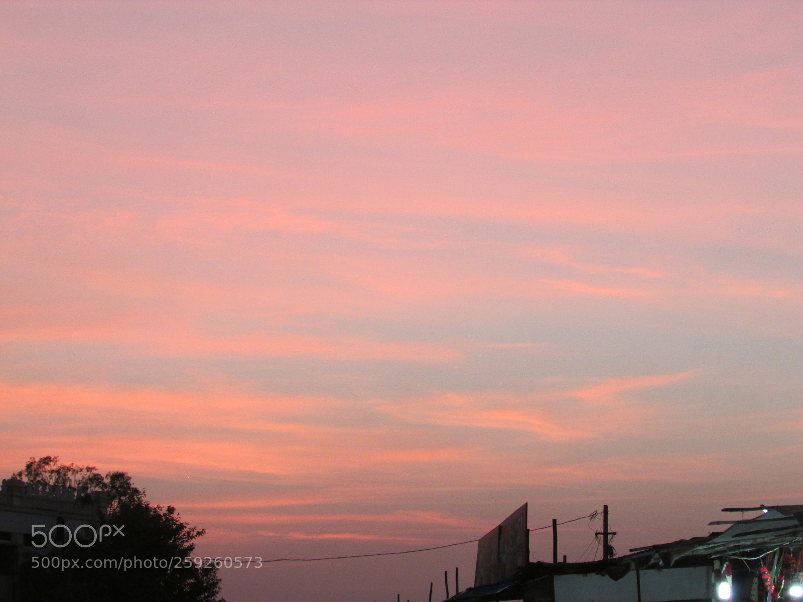 Canon PowerShot SX500 IS sample photo. Untitled photography