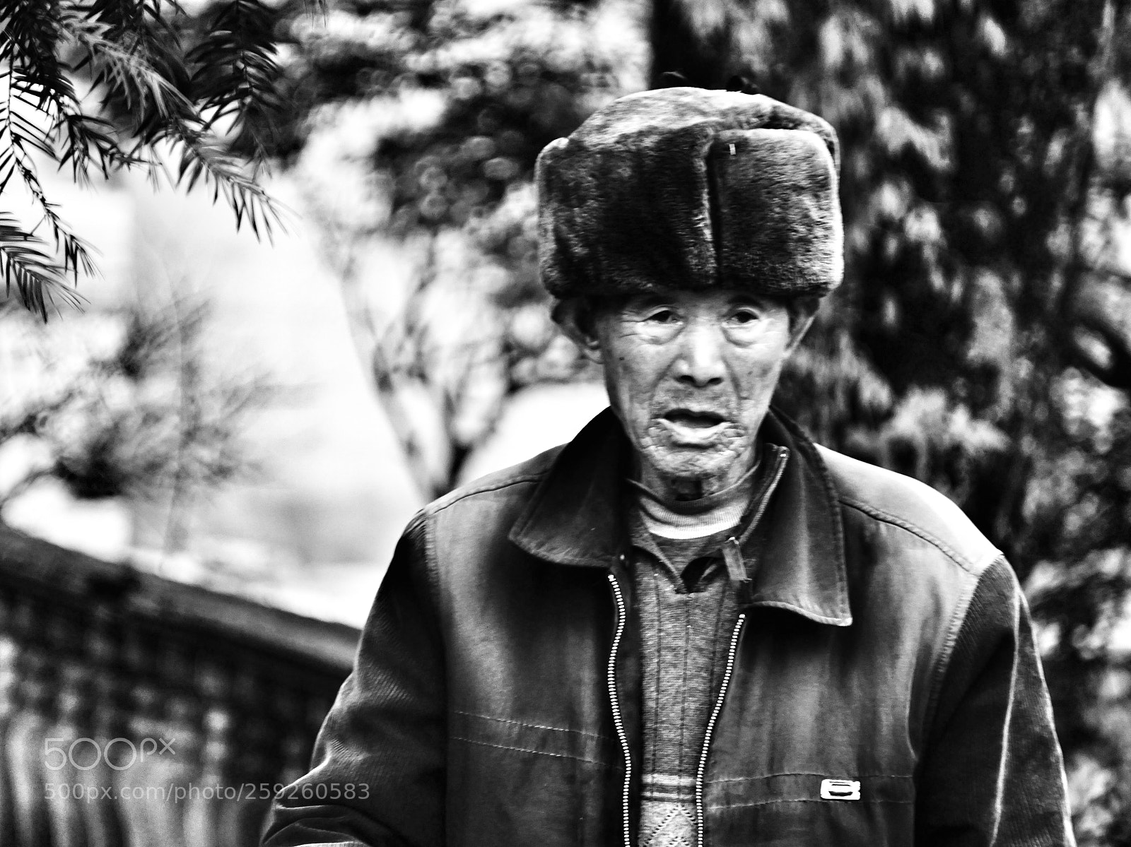 Sony a6000 sample photo. Untitled photography