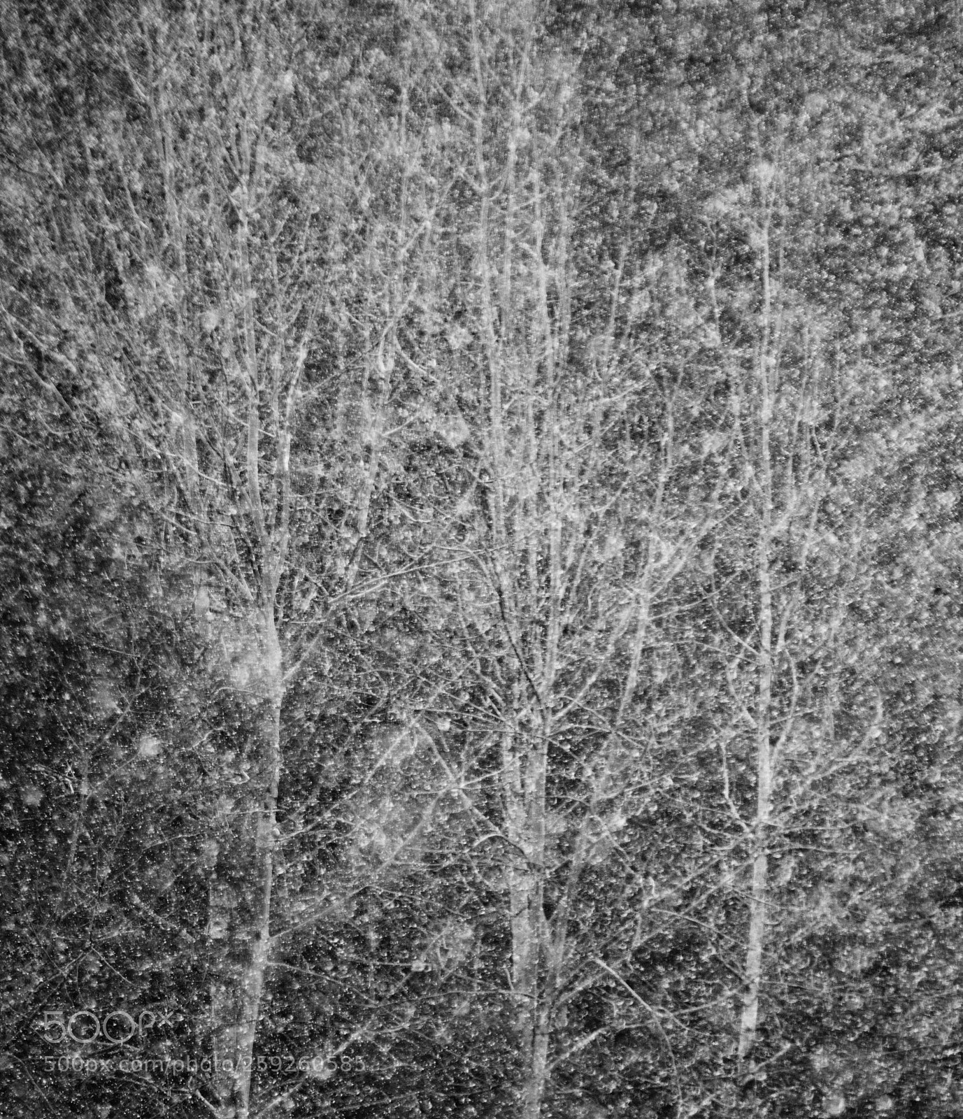 Nikon D5500 sample photo. Snow abstract photography