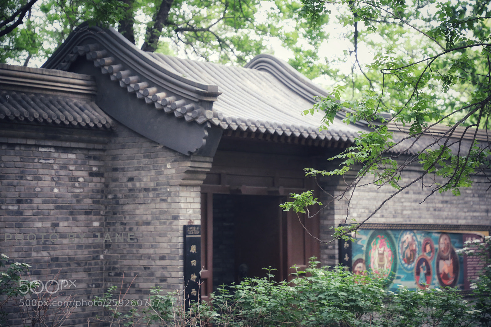 Canon EOS 5D Mark IV sample photo. Untitled photography