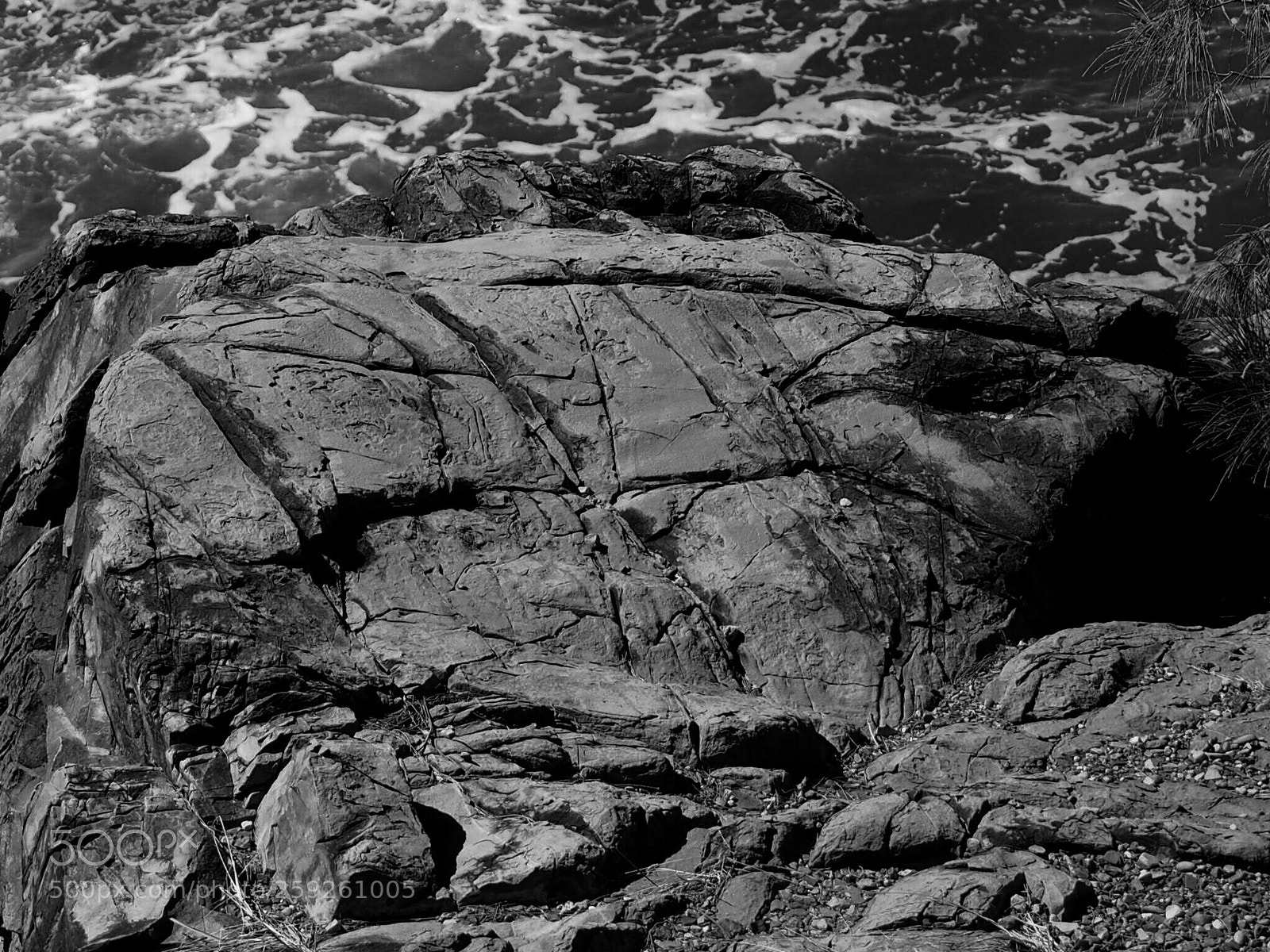 Olympus OM-D E-M10 sample photo. Patterns photography