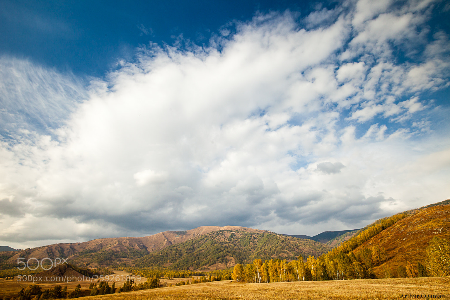 Canon EOS 5D Mark II sample photo. Mg photography