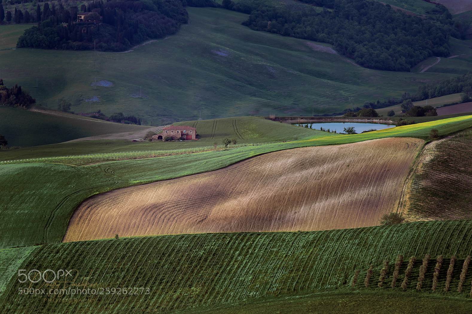 Pentax K-3 II sample photo. Tuscany italy with green photography
