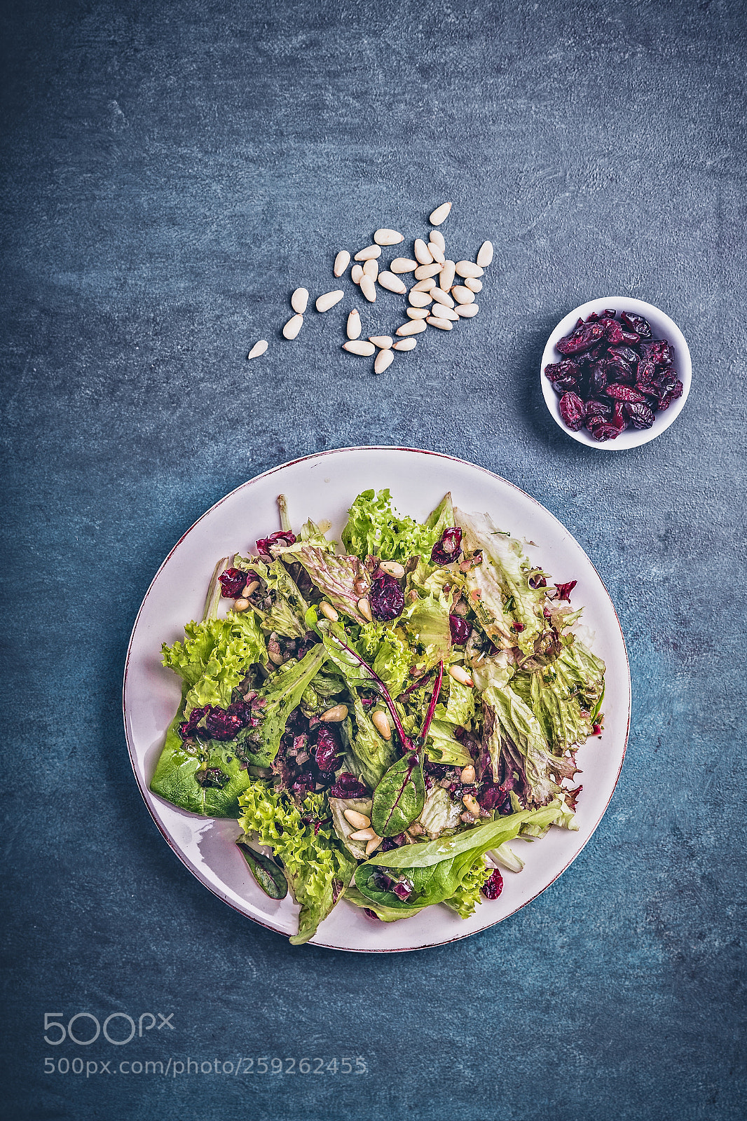 Canon EOS 6D sample photo. Mixed salad with cranberries photography