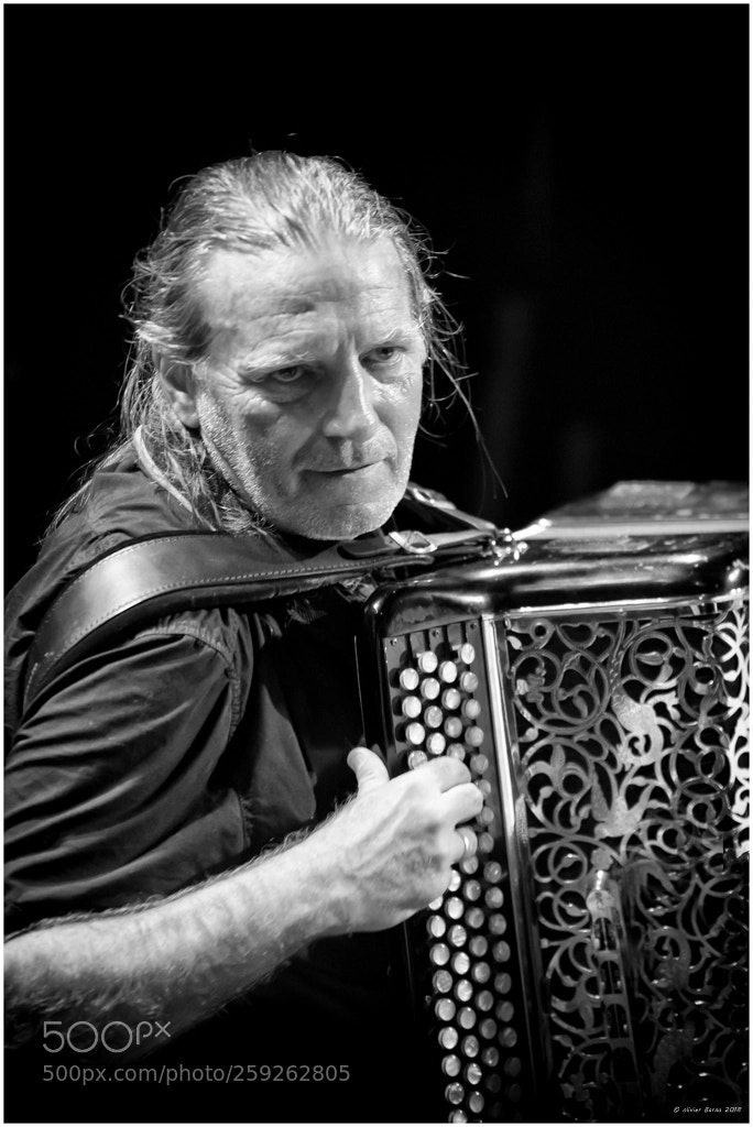 Nikon D750 sample photo. L'accordeoniste photography
