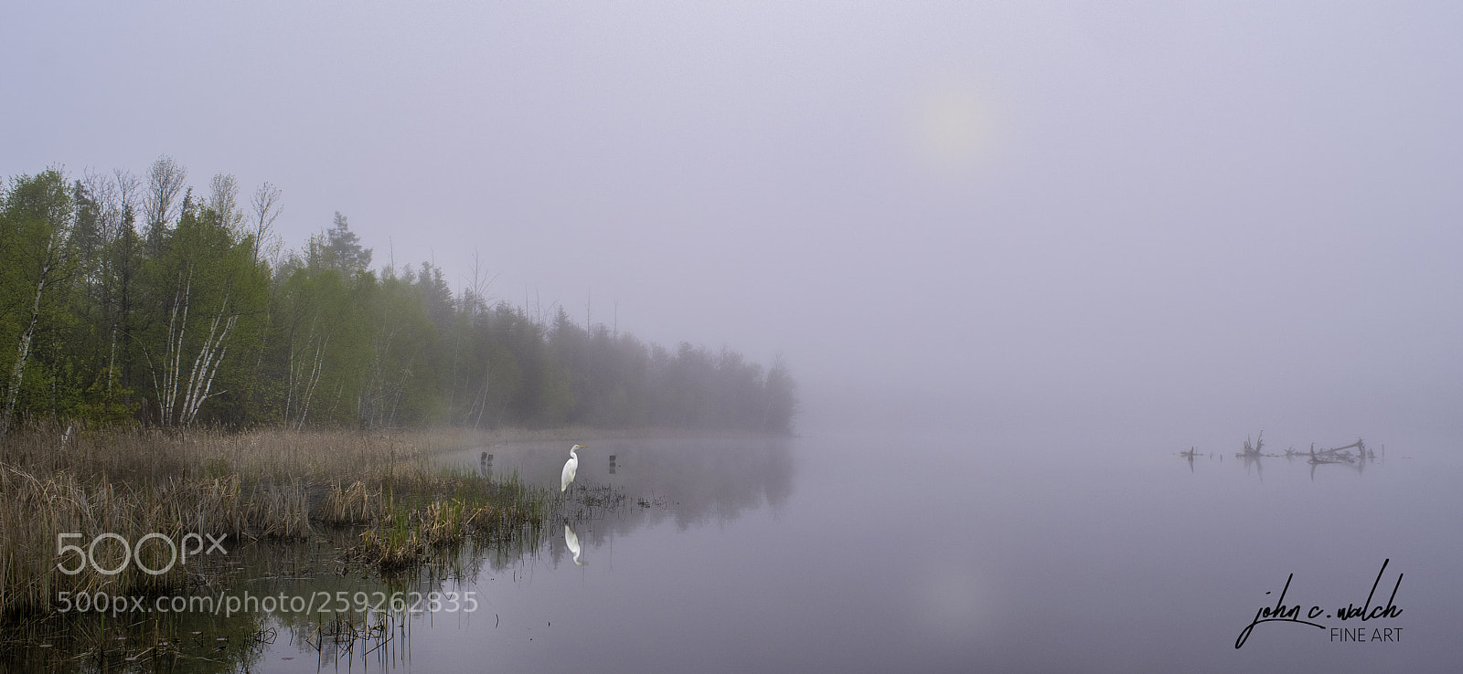 Nikon D5500 sample photo. Egret lake photography