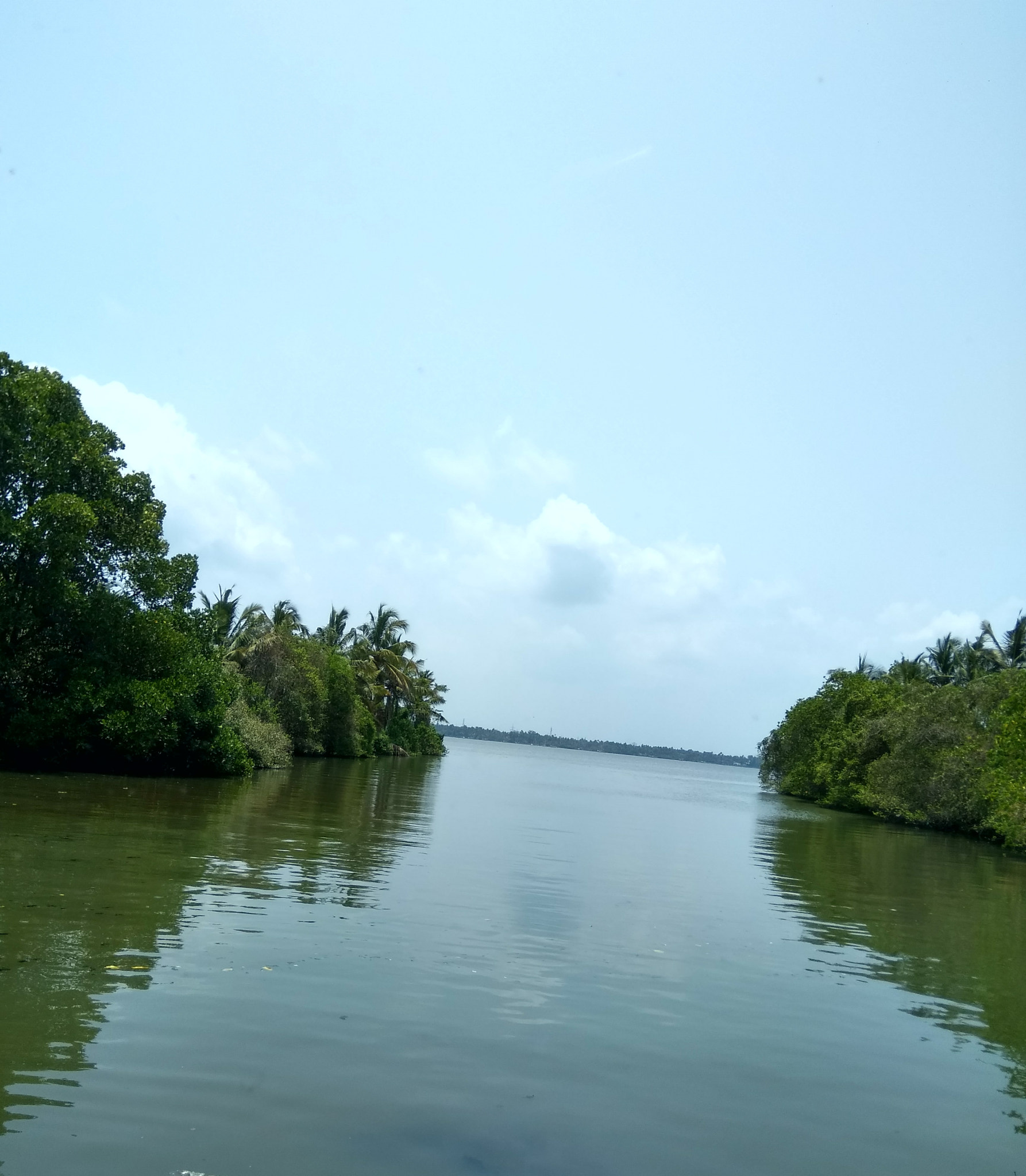 Xiaomi MI MAX sample photo