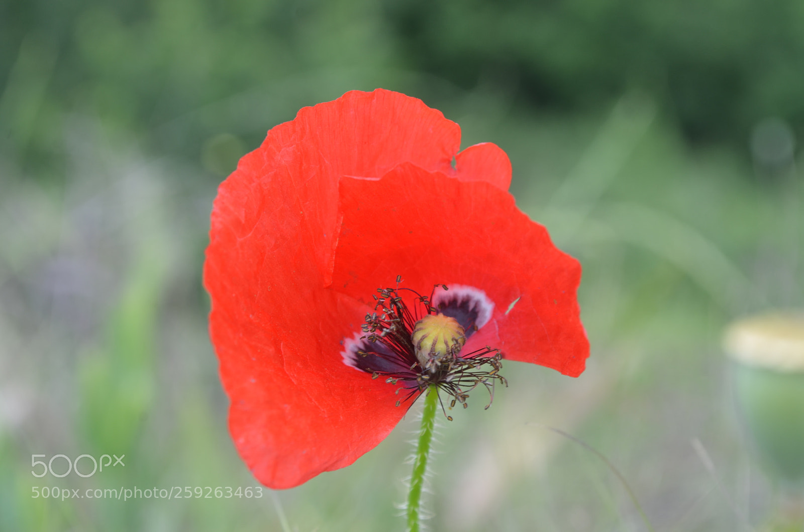 Nikon D5100 sample photo. What a glorious day photography