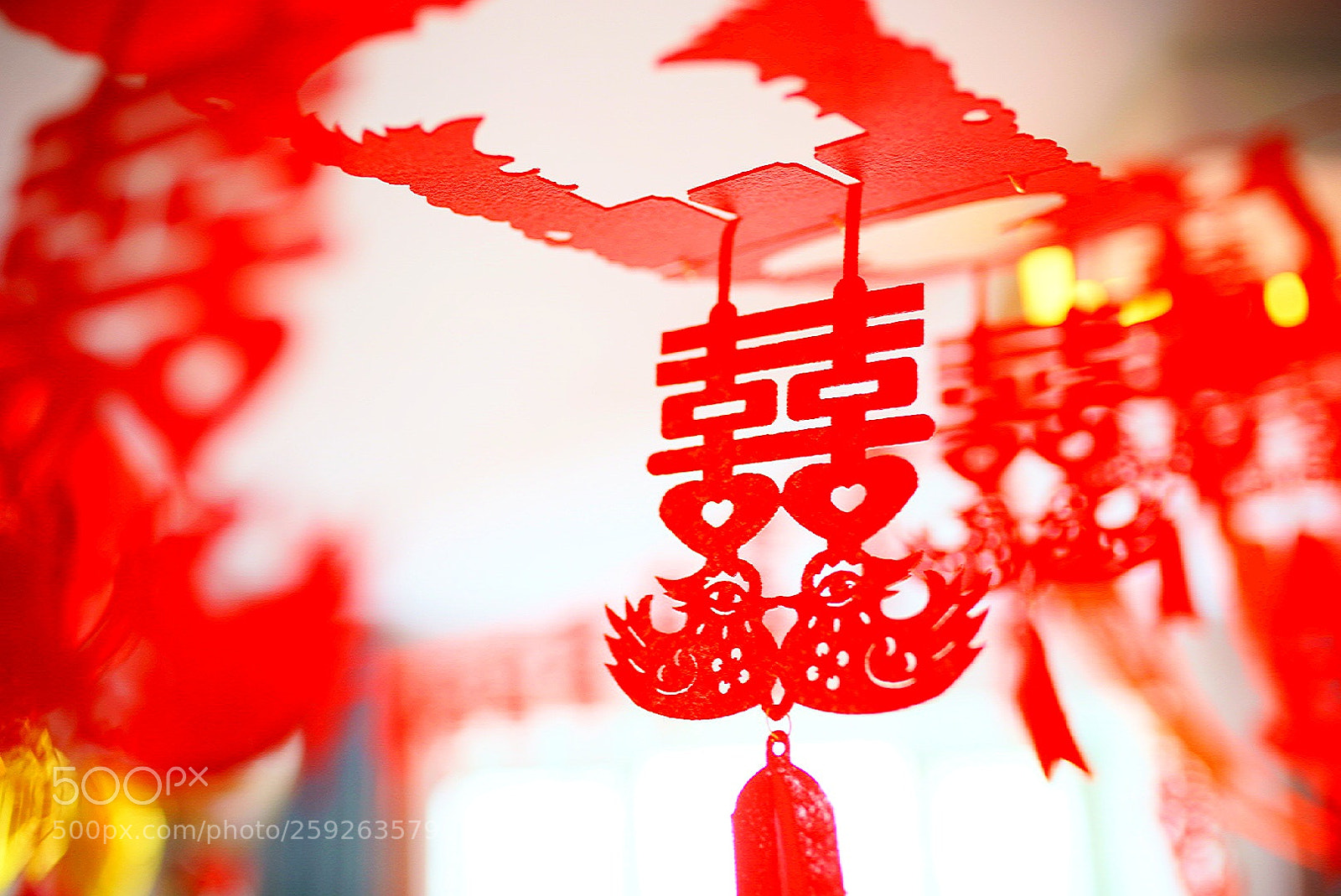 Sony a7R II sample photo. 鸿运当头 photography