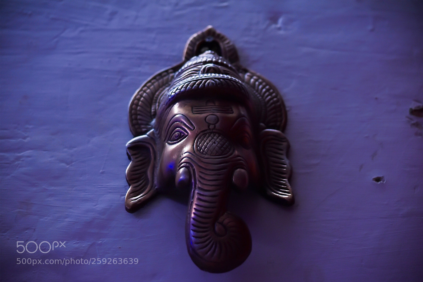 Nikon D3400 sample photo. Untitled photography