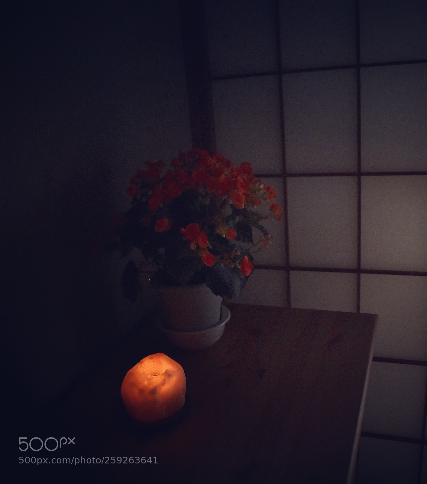 Nikon D5600 sample photo. Mood photography