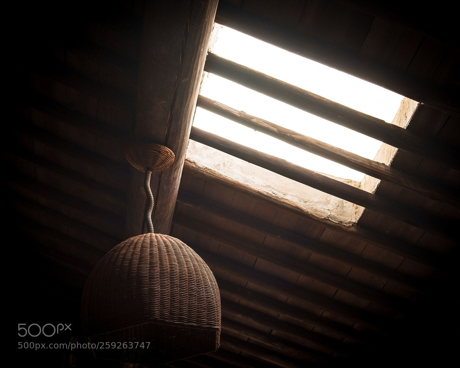 Nikon D750 sample photo. Untitled photography