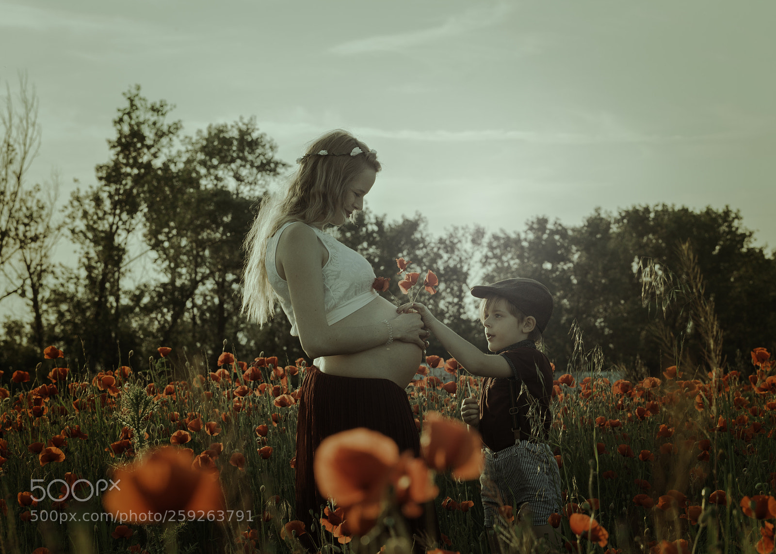 Canon EOS 6D sample photo. Plan of nature~ photography