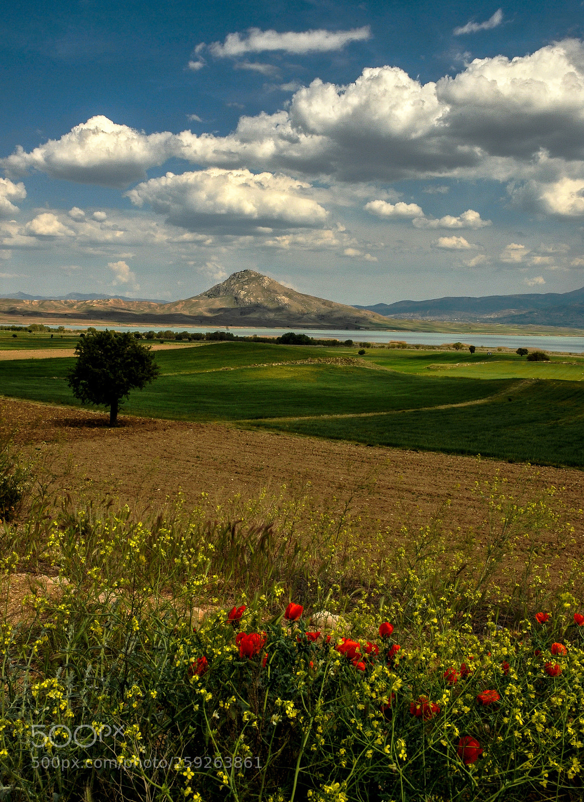 Nikon D3 sample photo. Lake karataş photography