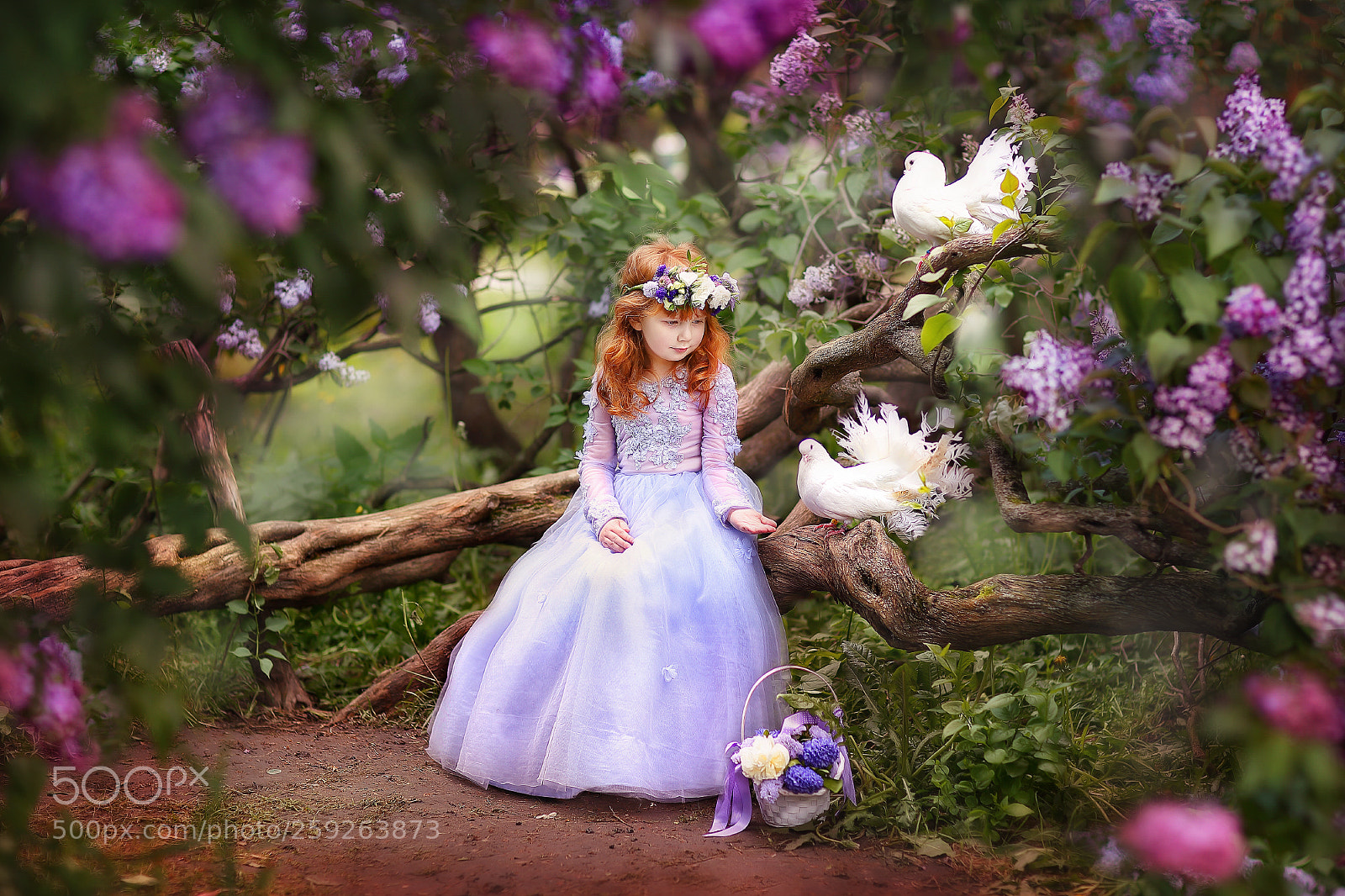 Canon EOS 6D sample photo. Pricess sofi photography