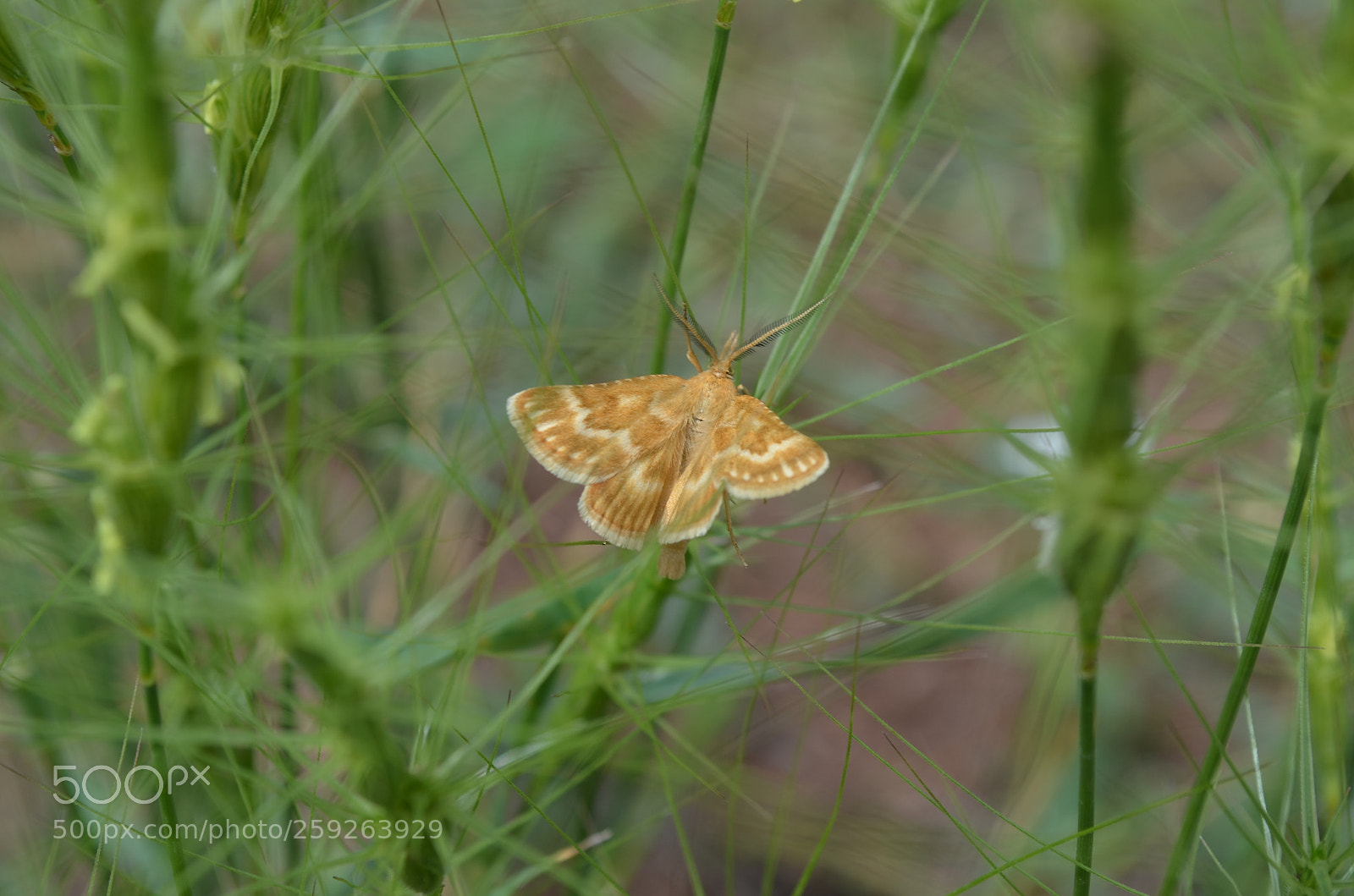 Nikon D5100 sample photo. Happy to have found photography