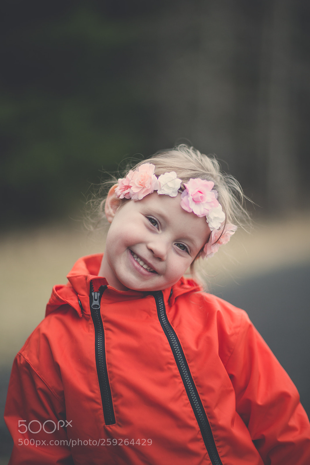 Canon EOS 6D sample photo. Untitled photography
