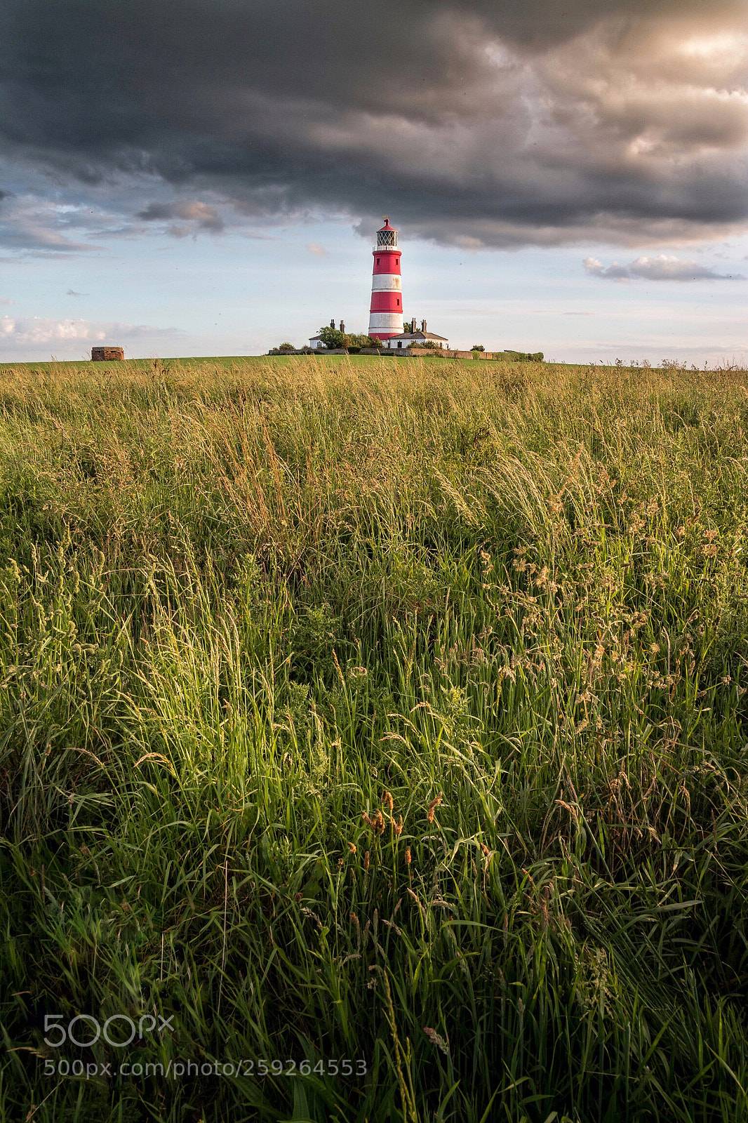 Canon EOS 70D sample photo. Lighting up the fields photography