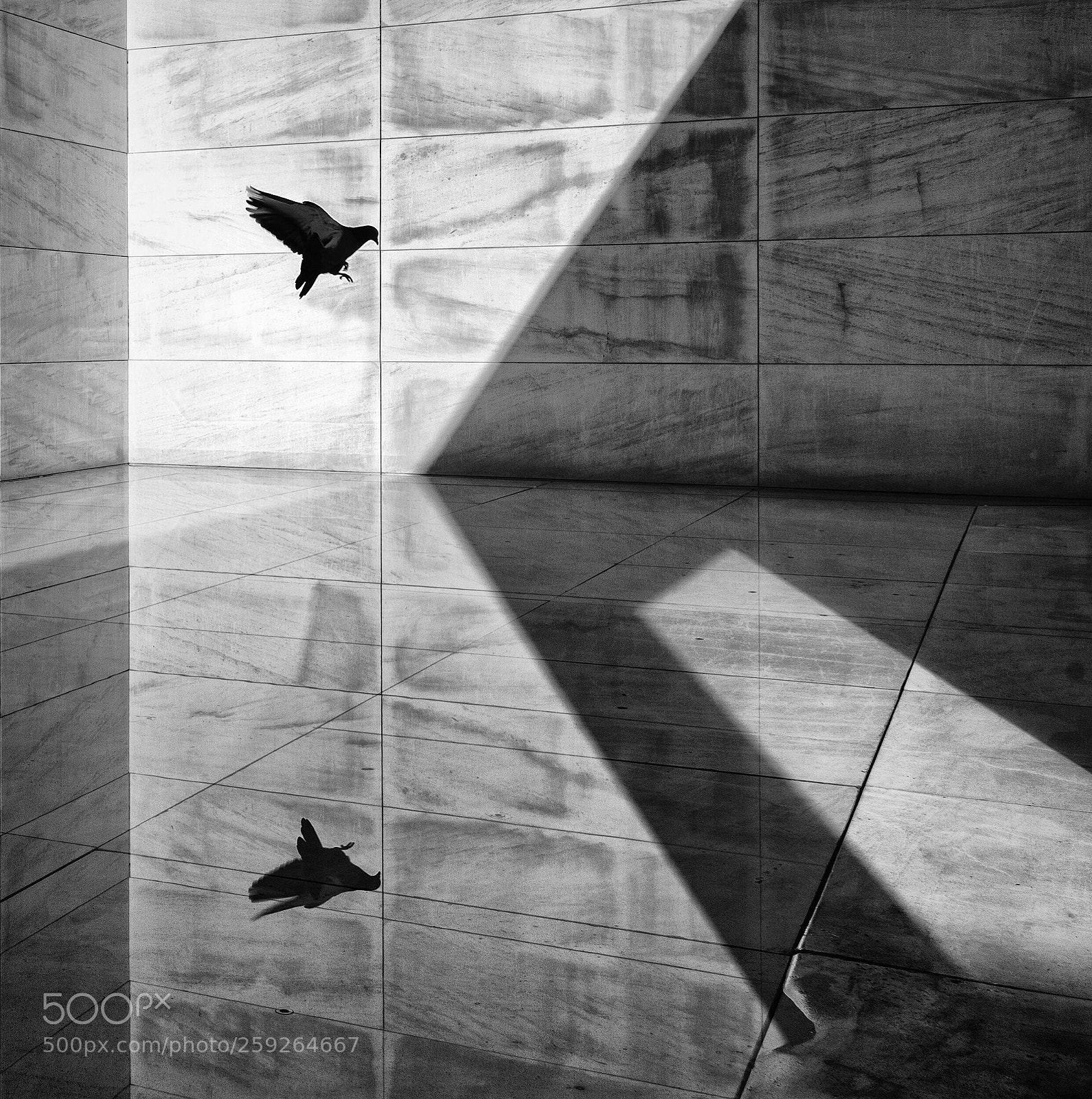 Nikon D750 sample photo. Caixaforum. barcelona. photography