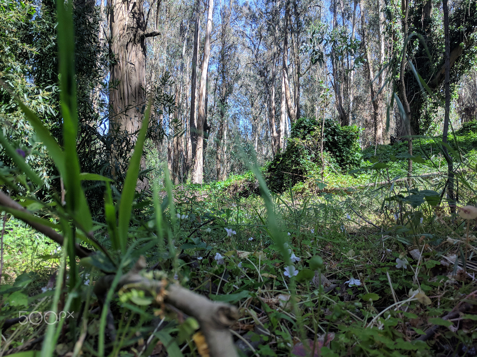 Google Nexus 6P sample photo. Cali, baby photography