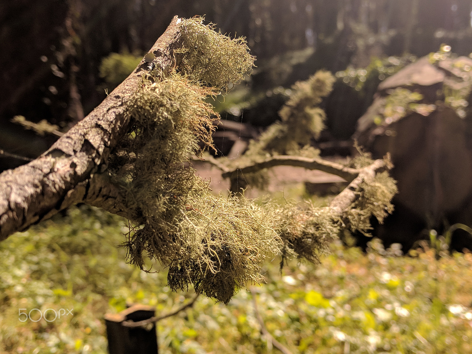 Google Nexus 6P sample photo. Cali, baby photography