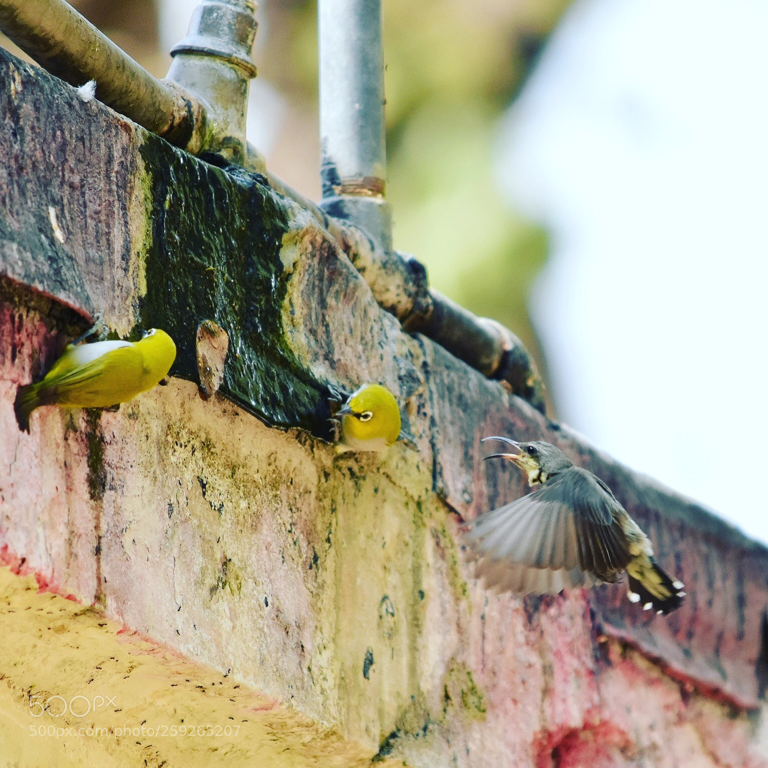 Nikon D3400 sample photo. Untitled photography