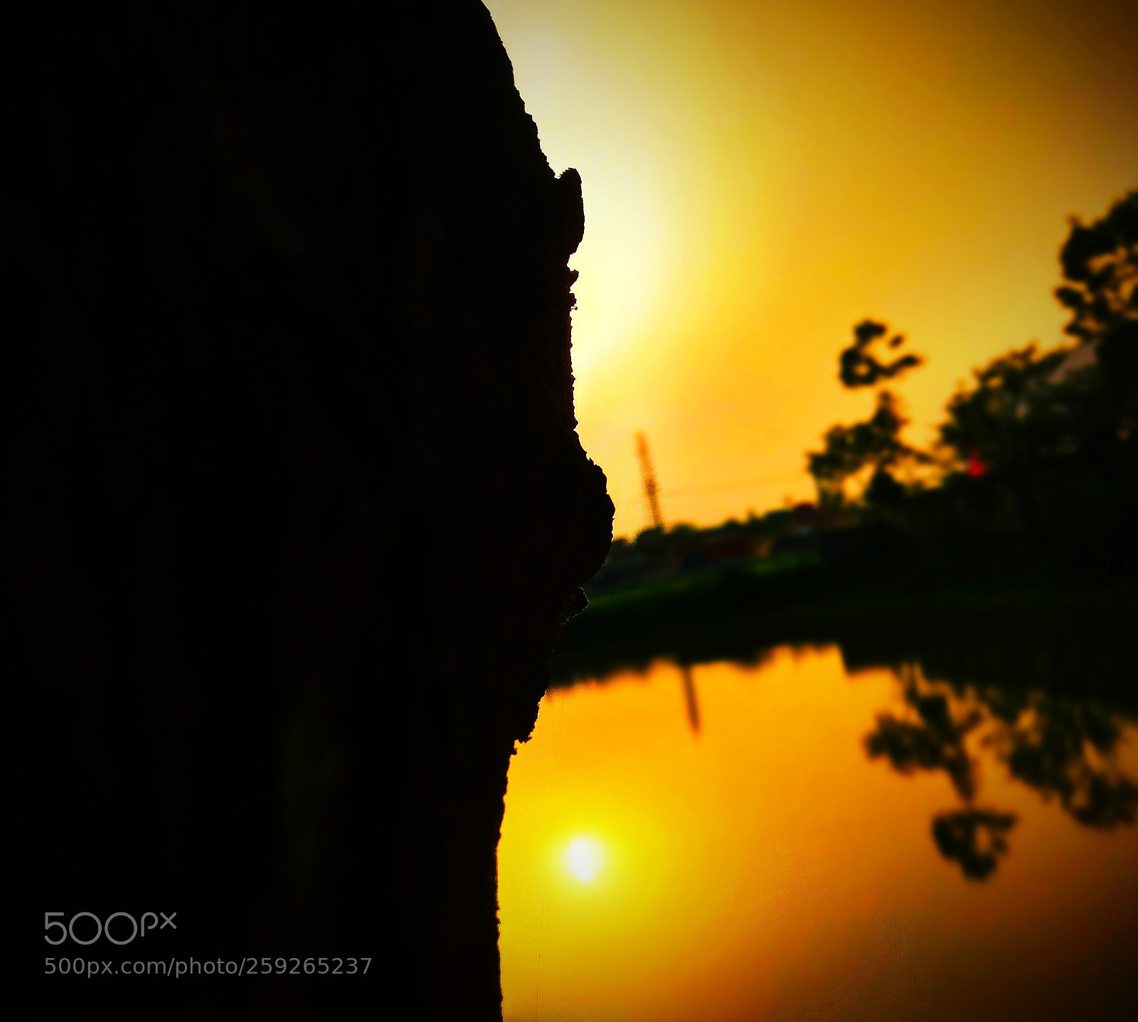 Xiaomi Redmi Note 4 sample photo. Untitled photography
