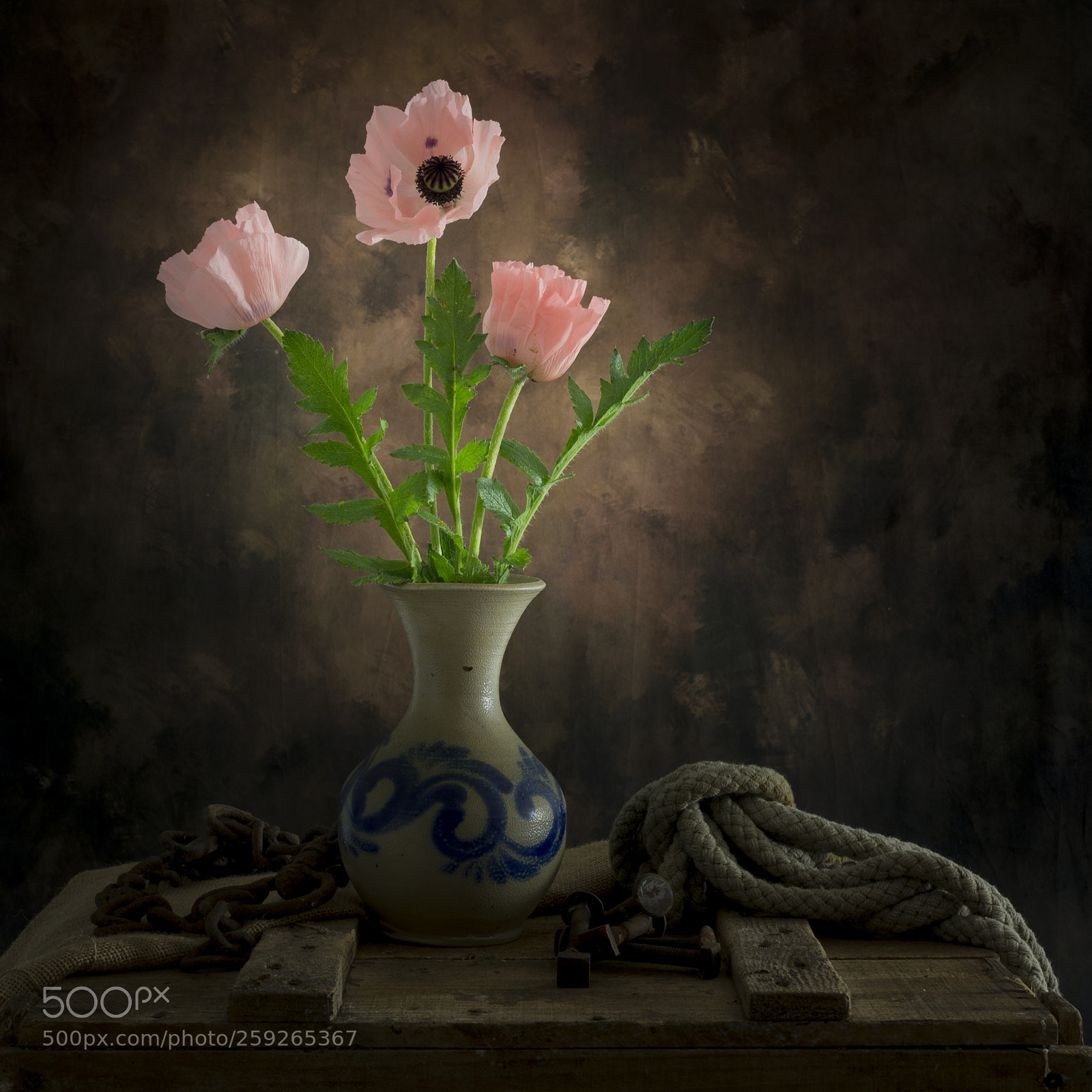 Nikon D600 sample photo. Pink poppies photography