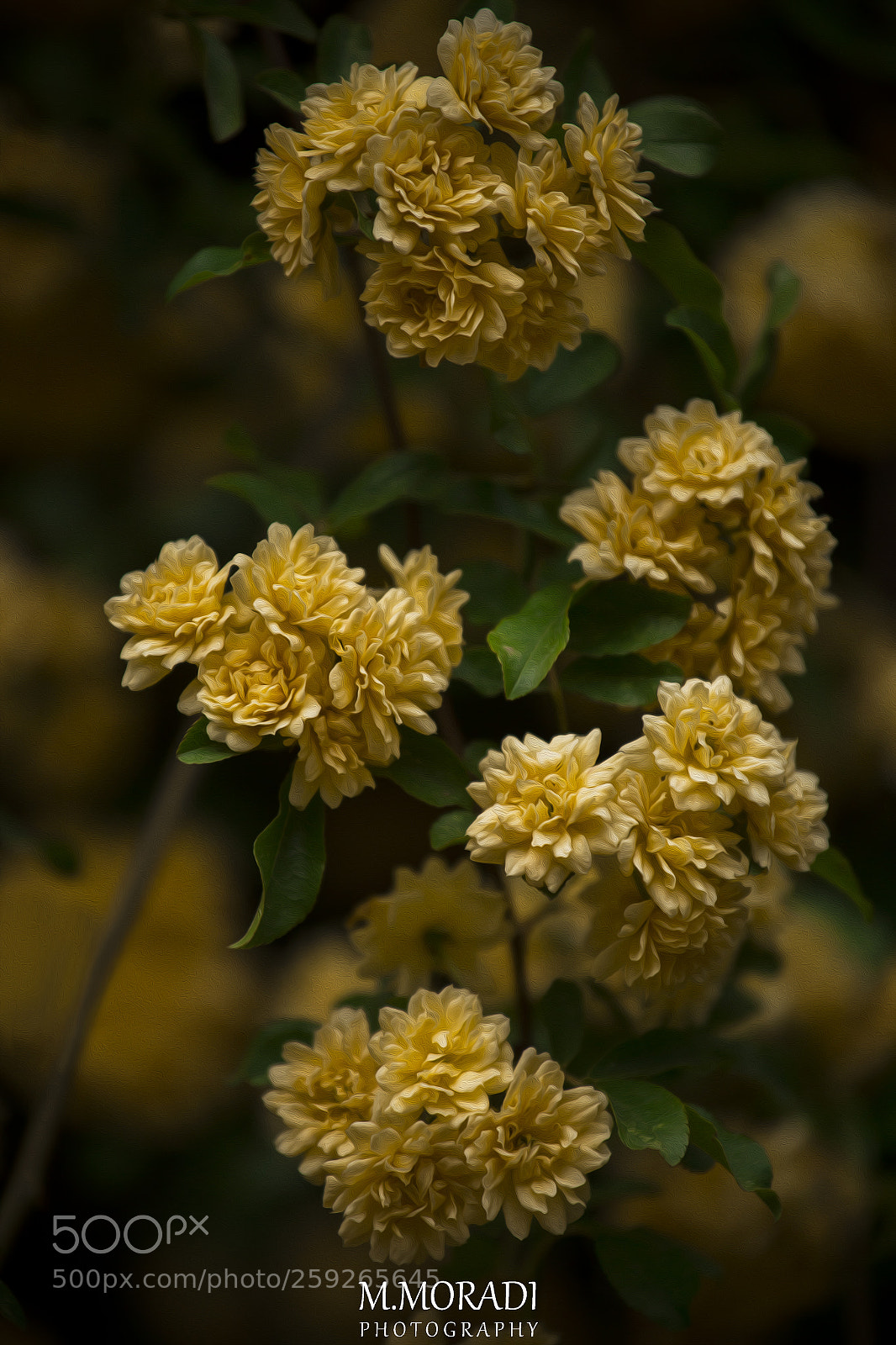 Canon EOS 6D sample photo. Untitled photography