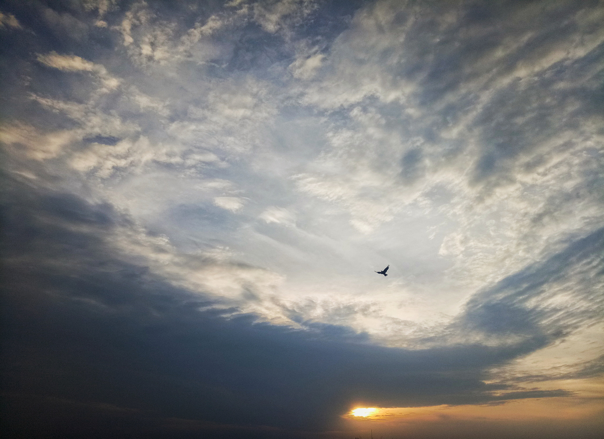 OPPO A1601 sample photo. Untitled photography