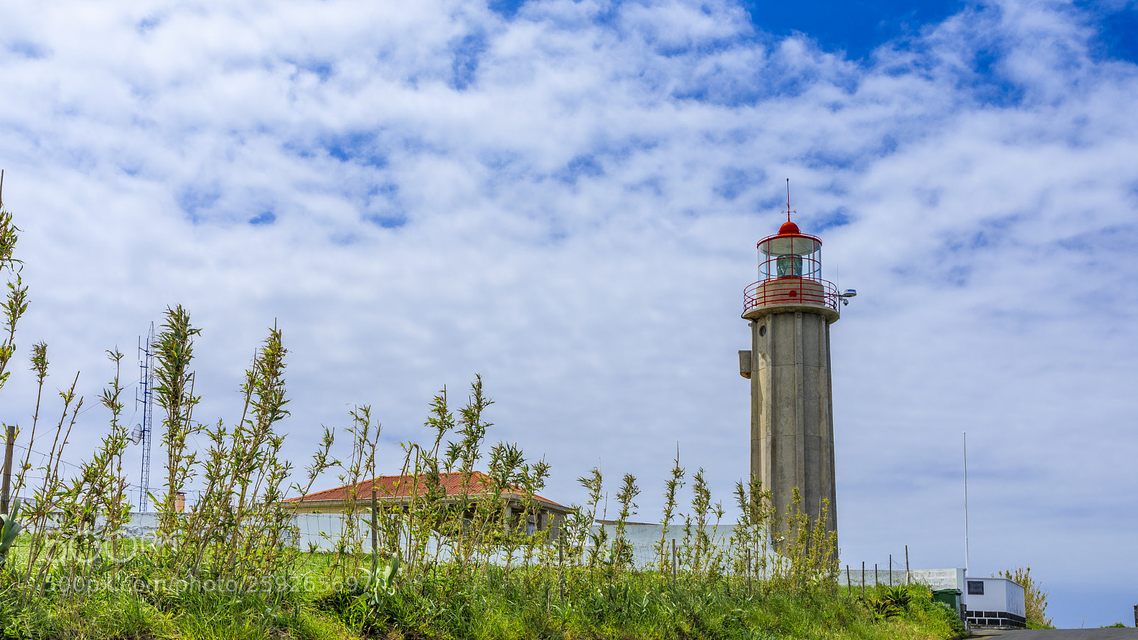 Canon EOS 5D Mark IV sample photo. A ores-s o miguel-ponta photography