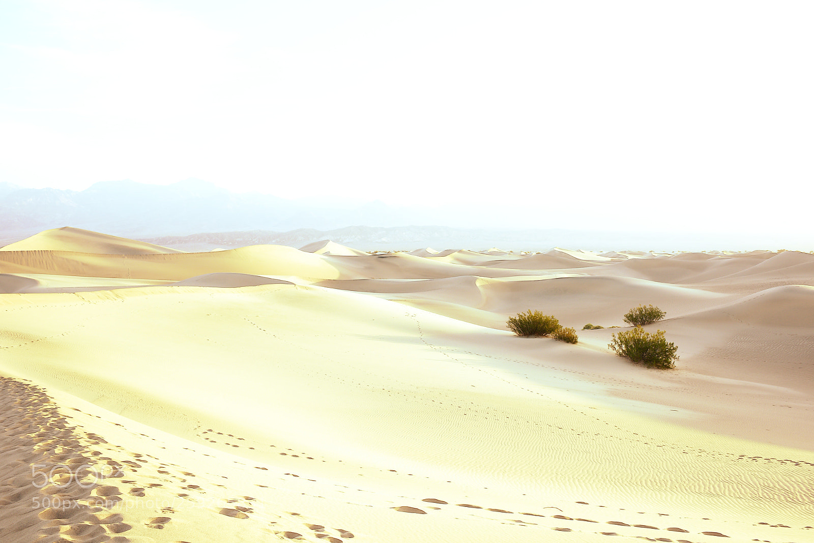 Nikon D810 sample photo. Lost among the dunes photography