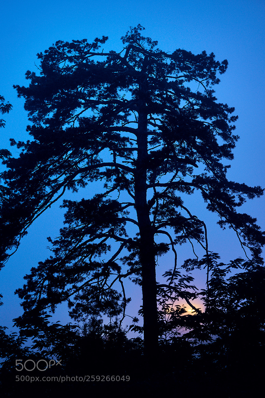 Sony a6000 sample photo. In the blue hour photography
