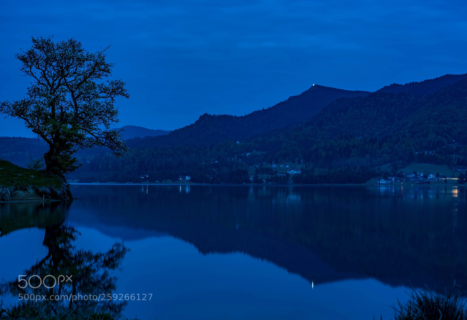 Nikon D750 sample photo. Blue photography