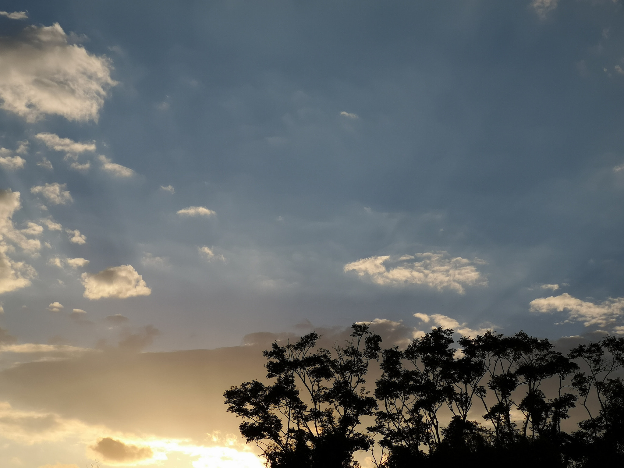 HUAWEI P20 Pro sample photo. Nature photography