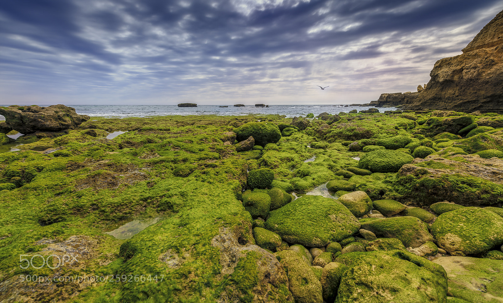 Nikon D850 sample photo. Praia de louren o photography