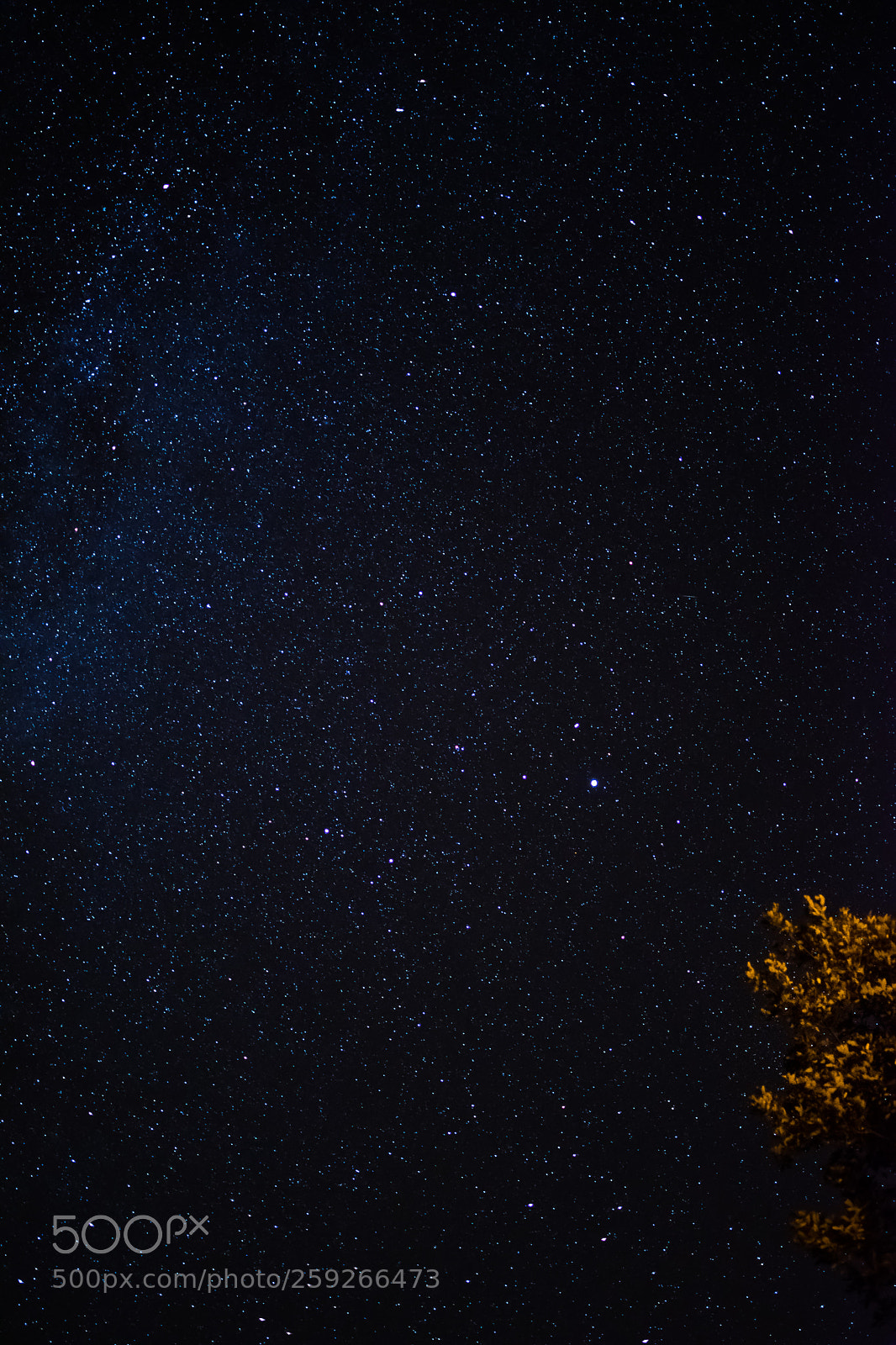 Nikon D5300 sample photo. Untitled photography