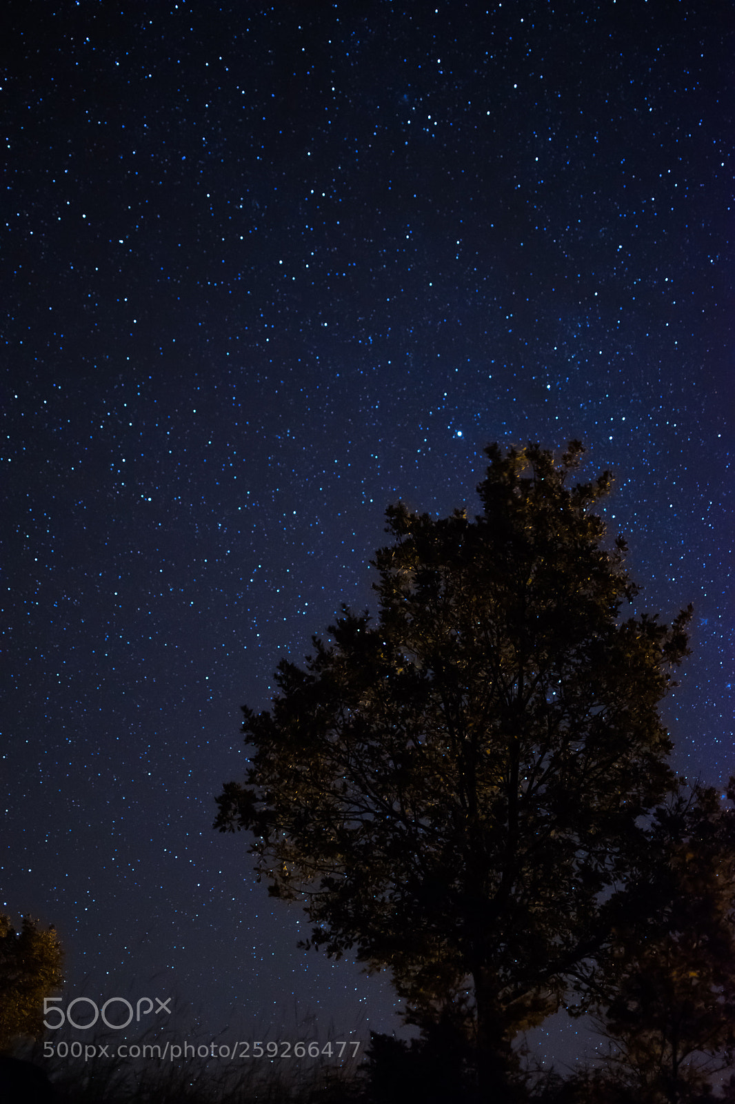 Nikon D5300 sample photo. Untitled photography