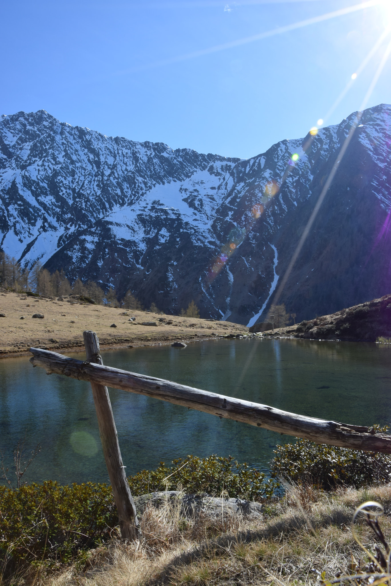 Nikon D5300 sample photo