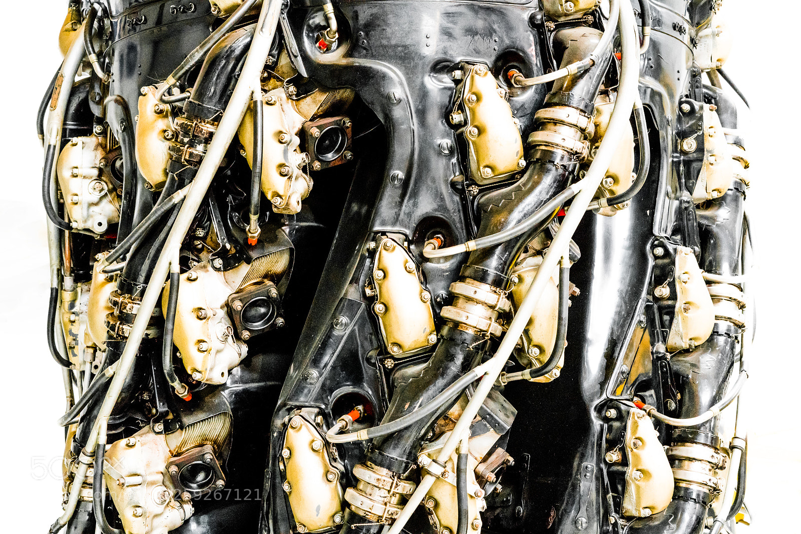 Sony a7R II sample photo. The wasp photography
