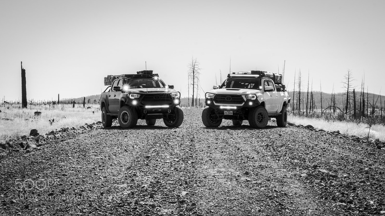 Sony a6000 sample photo. Double dragons photography